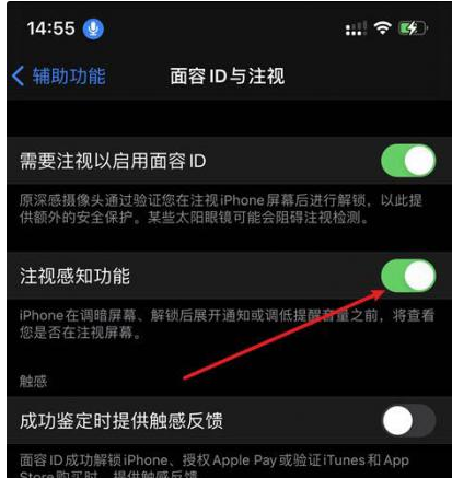 双台子苹果14维修网点分享iPhone14注视感知功能有什么用 